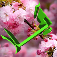 aboali